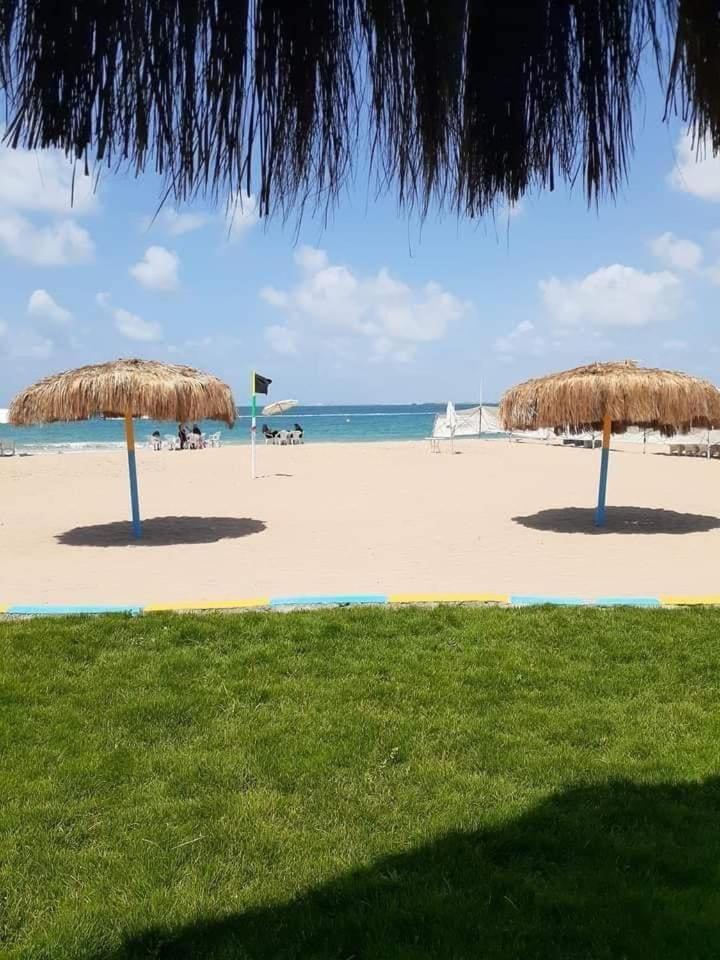 ستوديو المعموره Jerma * Alexandria