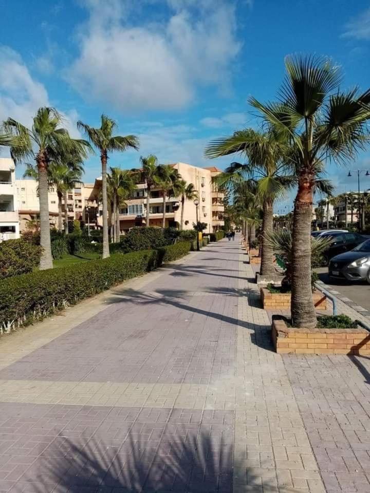 ستوديو المعموره Jerma Alexandria